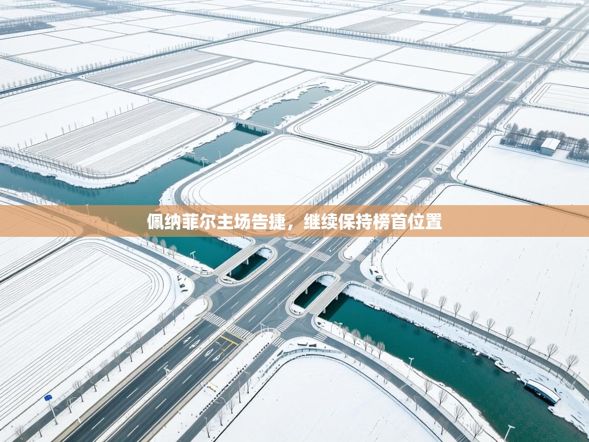 佩纳菲尔主场告捷，继续保持榜首位置